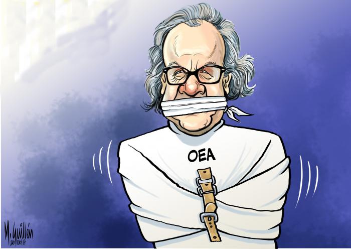almaro oea
