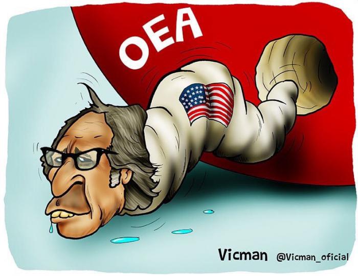 almaro oea gusano