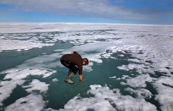artico cambio climático 1