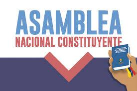asamblea constituyente caricatura