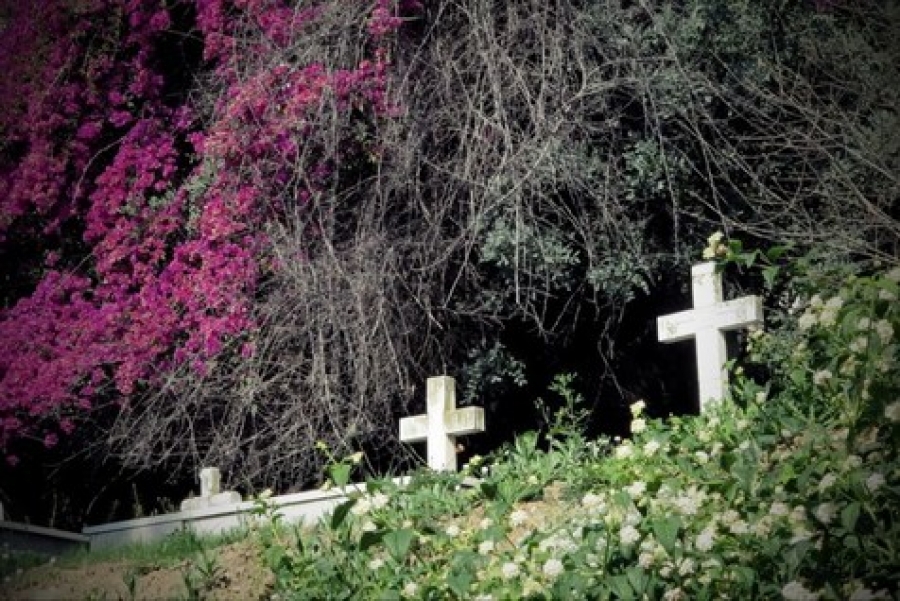 cementerio eeuu