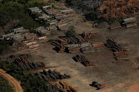 deforestacion 580x386