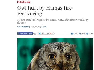 diario-israel-habla-de-lechuza