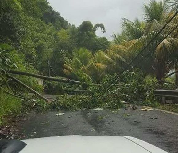 dominica 2 580x500
