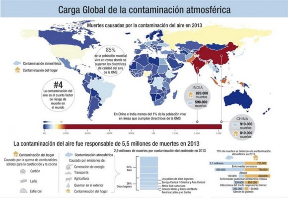 grafico