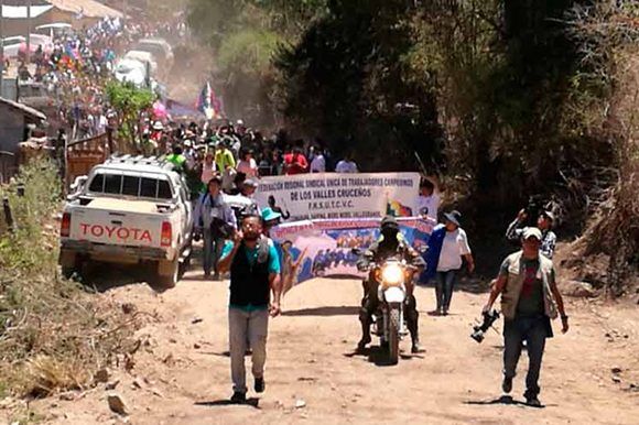 higuera bolivia 580x386