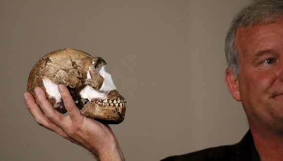 homo-naledi