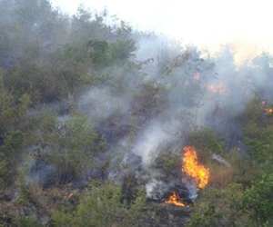 incendio colombia
