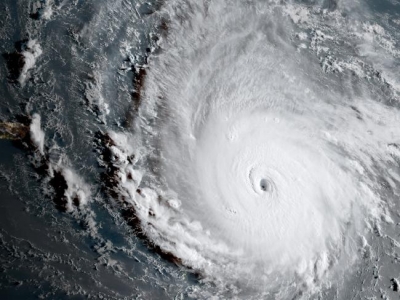 irma imagen2