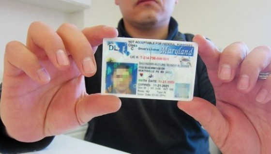 licencias-web t670x470-560x318