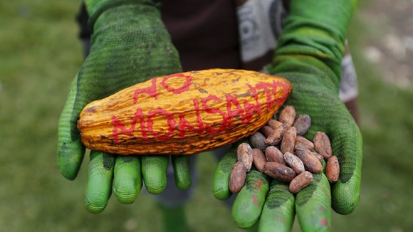 montosanto alimentos