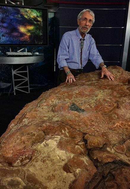 nasa restos dinosaurios