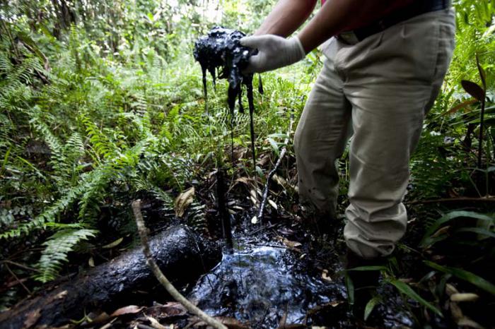 sentencia contra chevron 2015