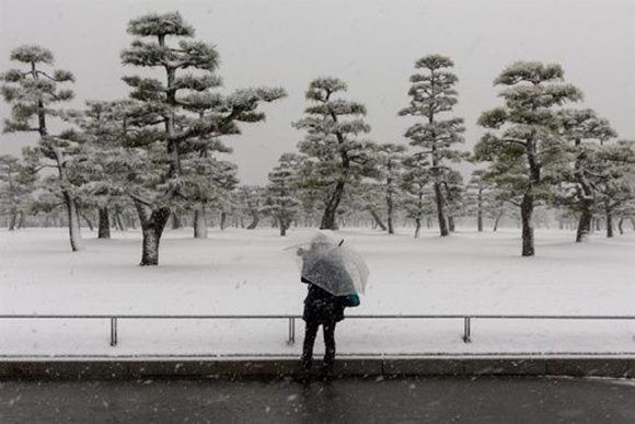 tokio nevada