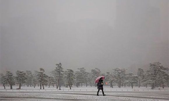 tokio nevada2