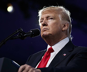 trump 5