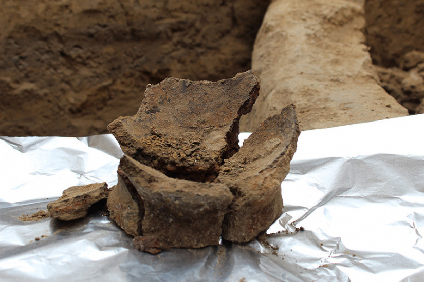 vino yacimiento arqueologico2
