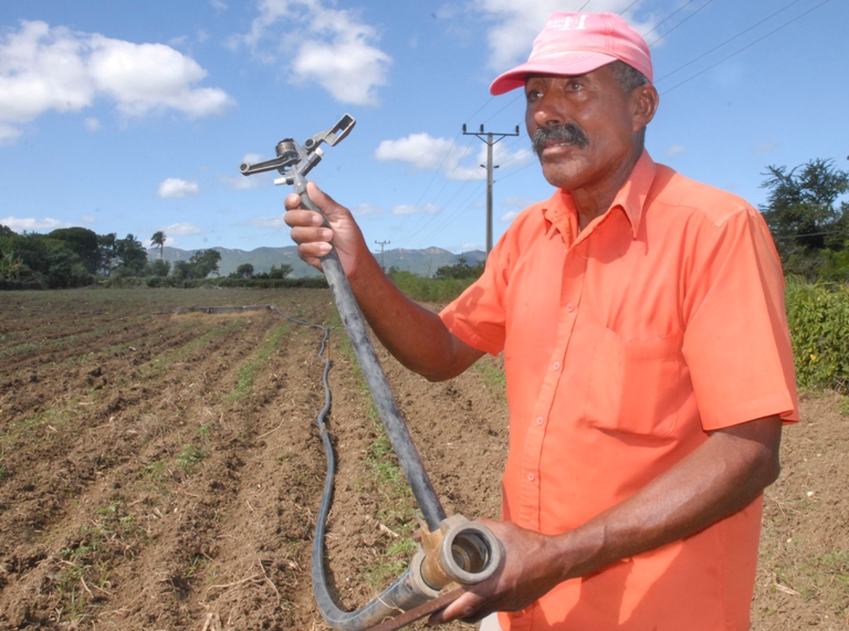 cultivos valle