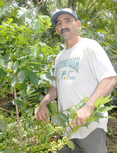 despulpadoras ecologicas montañas4