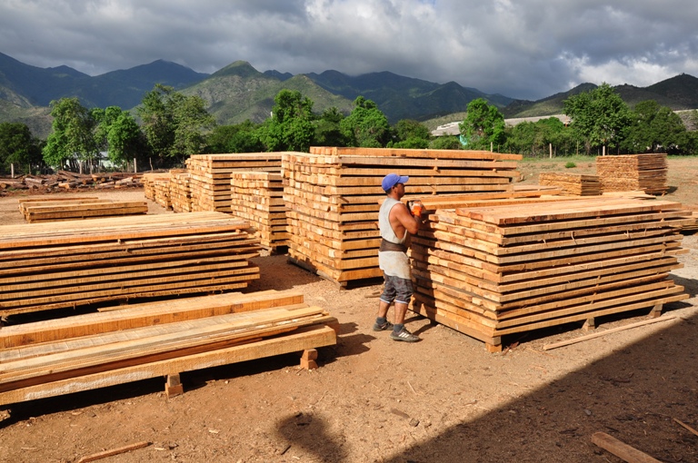 imias madera