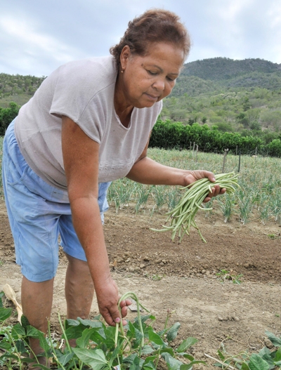 mireya usufructuaria