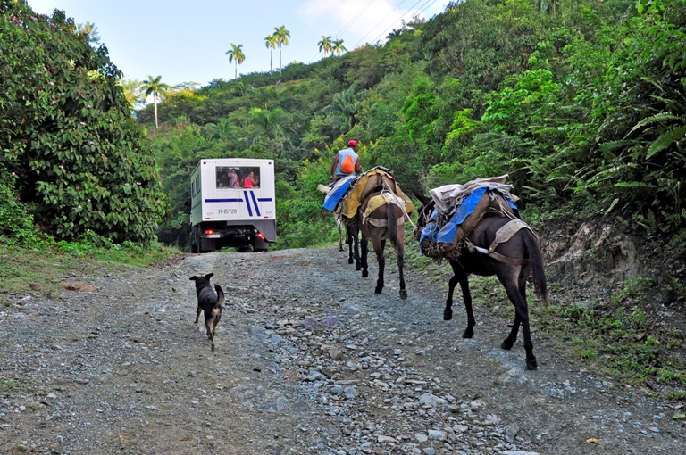 transporte motaña4