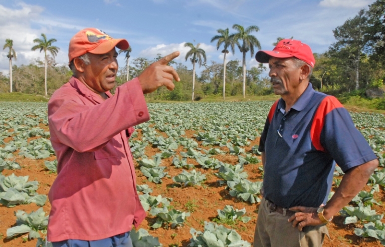 yateras produccion alimentos2