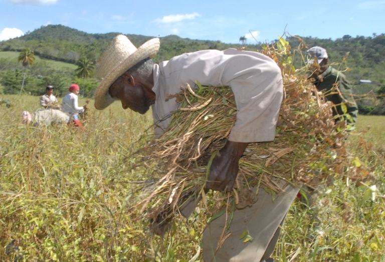 yateras produccion alimentos3a