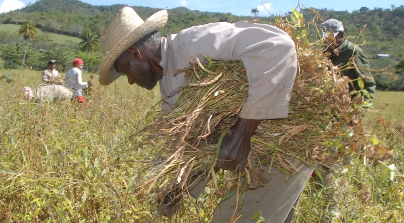 yateras produccion alimentos portada