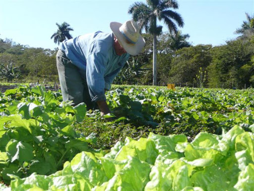 medidas agropec