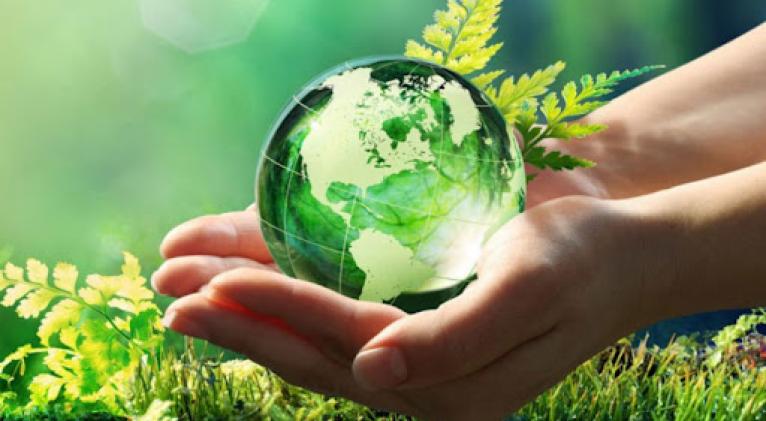 medio ambiente