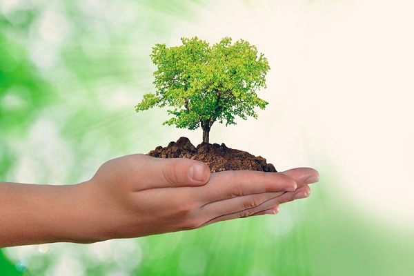 medio ambiente3
