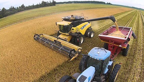 Arkansas arroz 580x330