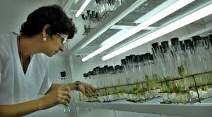 agricultura ciencia