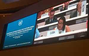 anayansi bloqueo ginebra