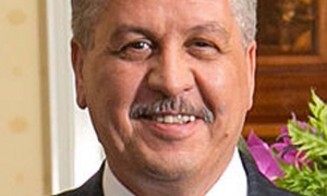 argelia presidente
