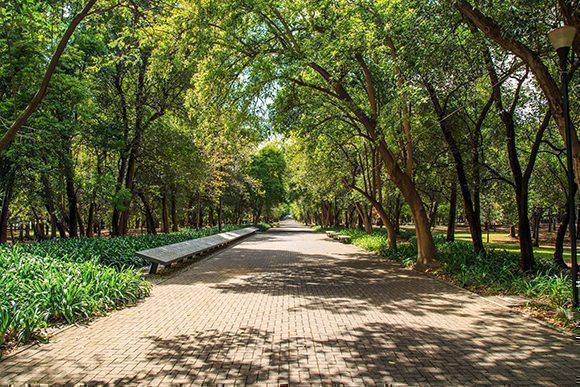 bosque de chapultepec 580x387