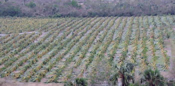 daños huracan