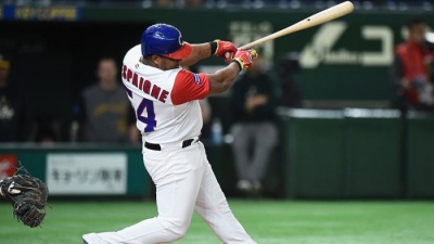 despaigne jonrron