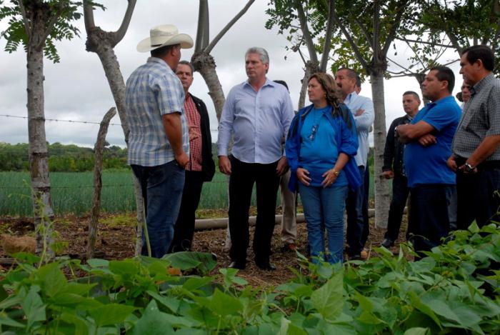 diaz-canel jovenes campesinos