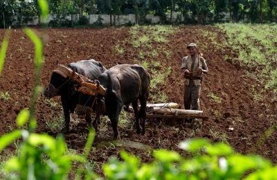 entrega tierras usufructo