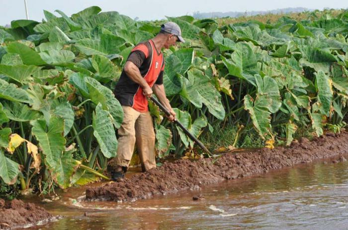 fao recnoce a cuba 2015