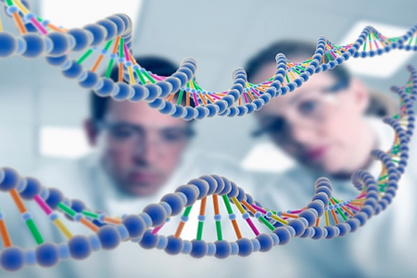 genetica humana