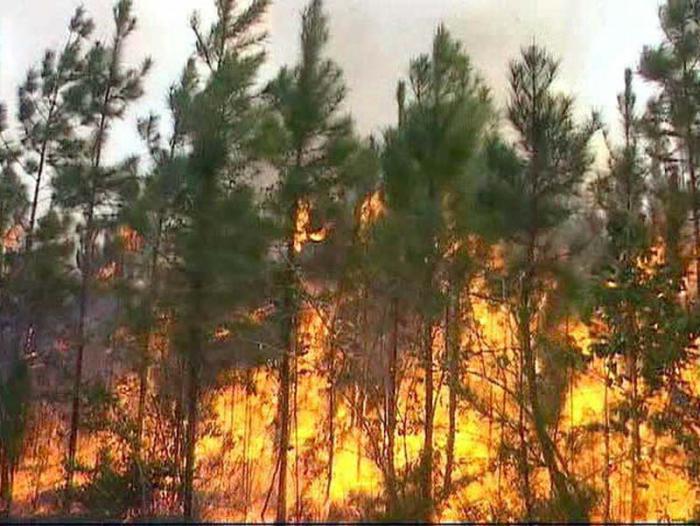 incendio forestal pinar rio