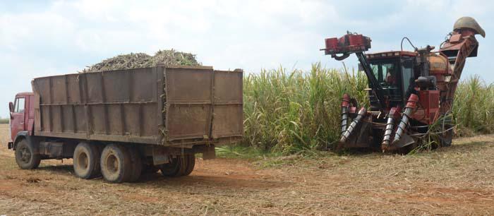 inversiones sector azucarero