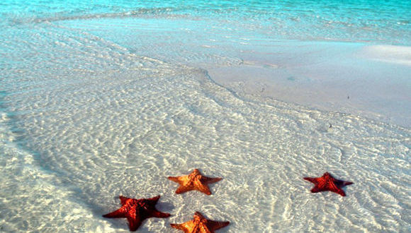 jardines del Rey 4 1