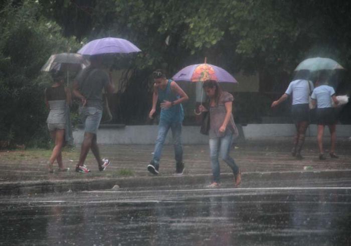 lluvias favorables