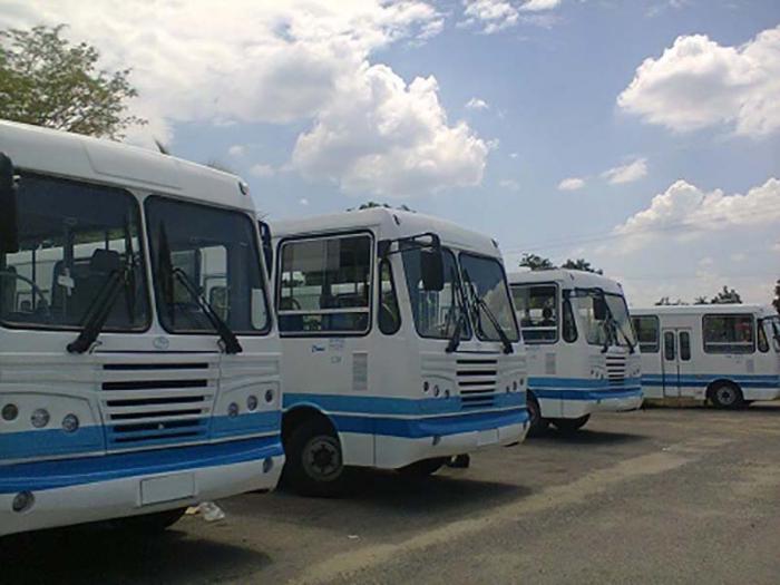 omnibus transportación