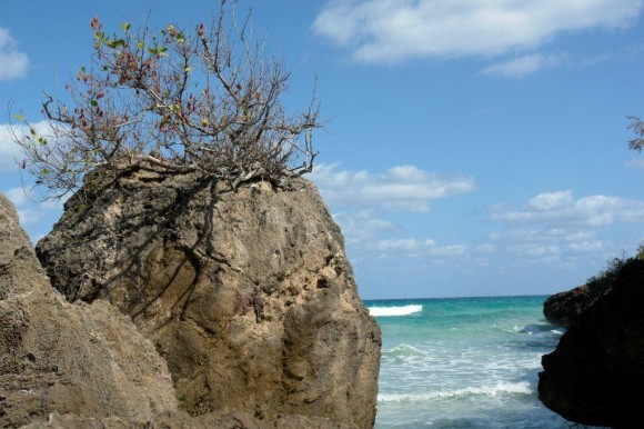 playa cuba2