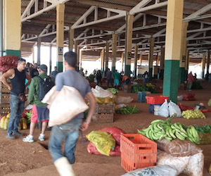precios-alimentos-el-trigal
